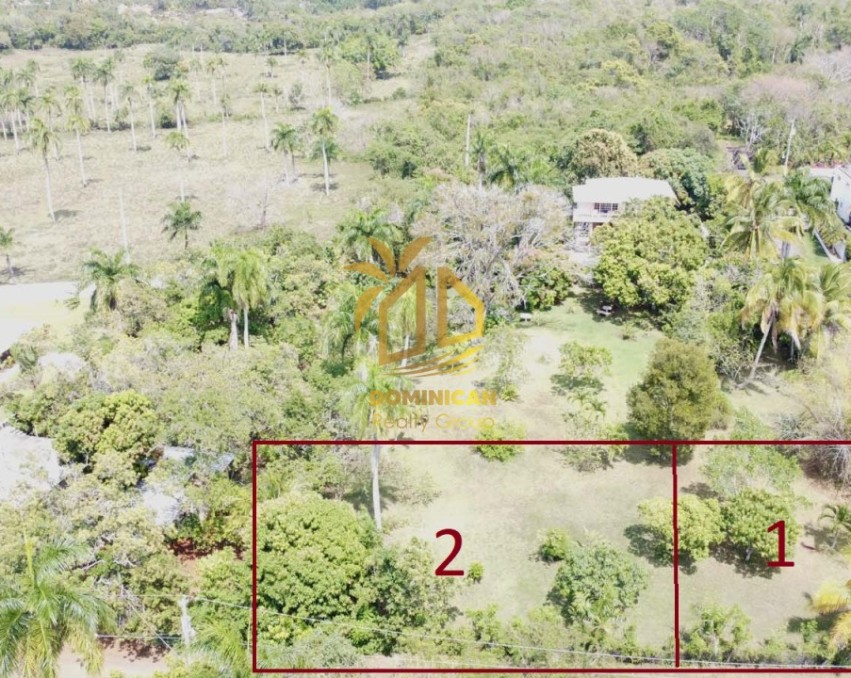Tropical lots for sale
